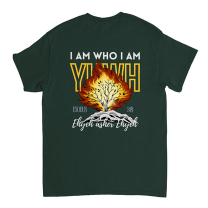 bbcce65e-78d5-4b0d-b668-b7b3bb8748cb