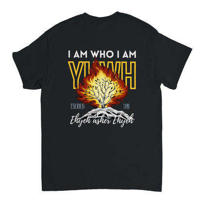 ec5e857d-d5f8-45e0-9393-23702fa033f4