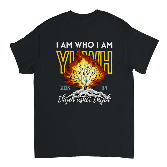 ec5e857d-d5f8-45e0-9393-23702fa033f4